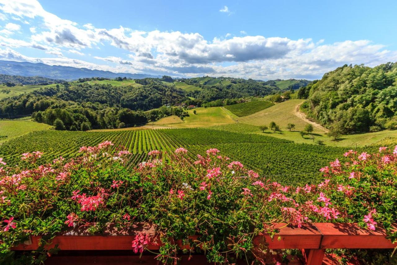 Farm Stay Jarc Vineyard Svecina Exterior foto